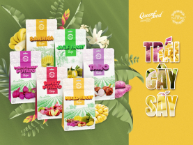 TRÁI CÂY SẤY VIỆT NAM