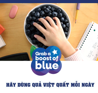 VIỆT QUẤT VÀ TĂNG CƯỜNG TRÍ NÃO (BỔ NÃO)