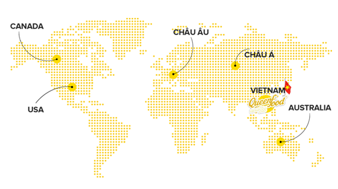 Thị Trường & Đối Tác